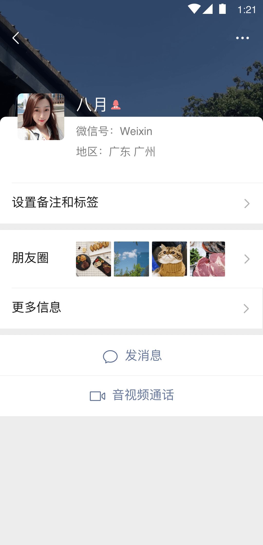 我新手M现寻找一名温柔的主人截图